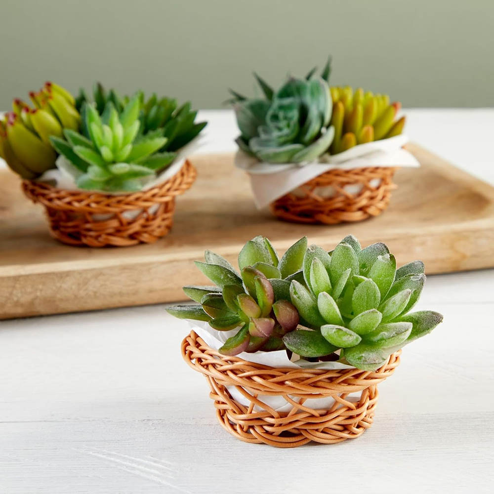 Conjunto de Mini Cestas Trança - Woven Basket Set avaliação e preço